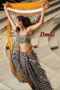 425668_320587204666262_282949885096661_934782_138738633_n - Sareeuri