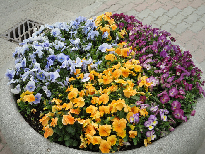 DSC04320