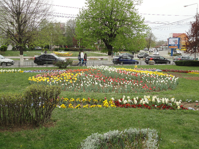 DSC04332