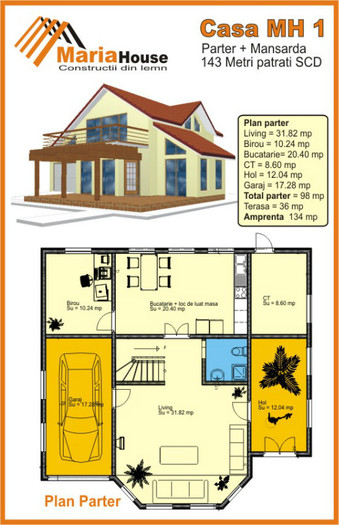 Proiecte case 1