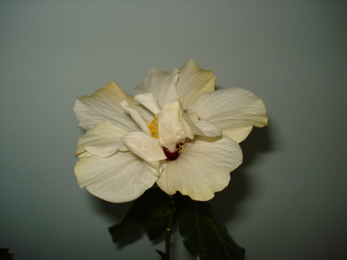 DSC02158