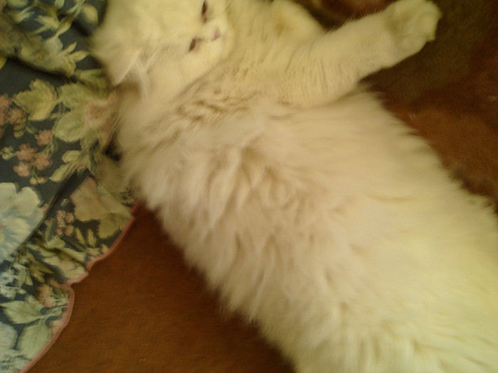 SUNP0002 - noi achizitii