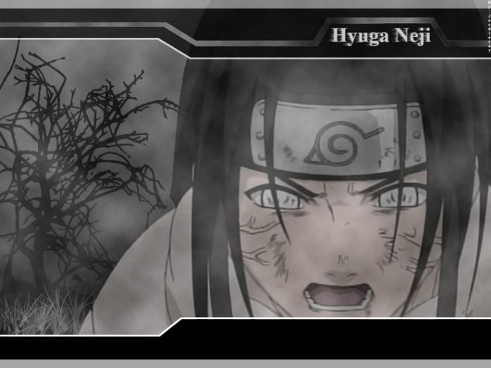  - Neji Hyuga