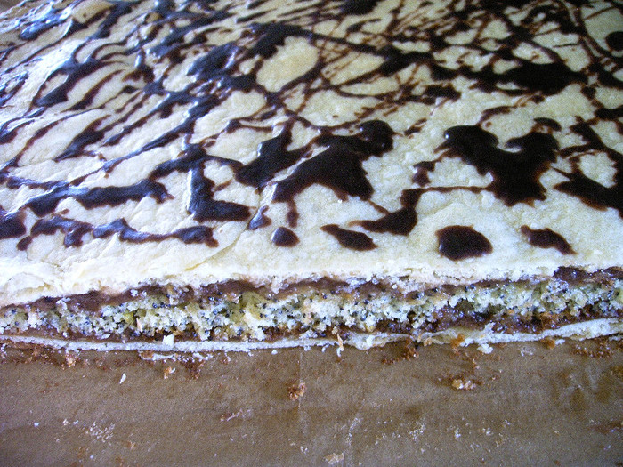 IMAG0017 - De ale gurii