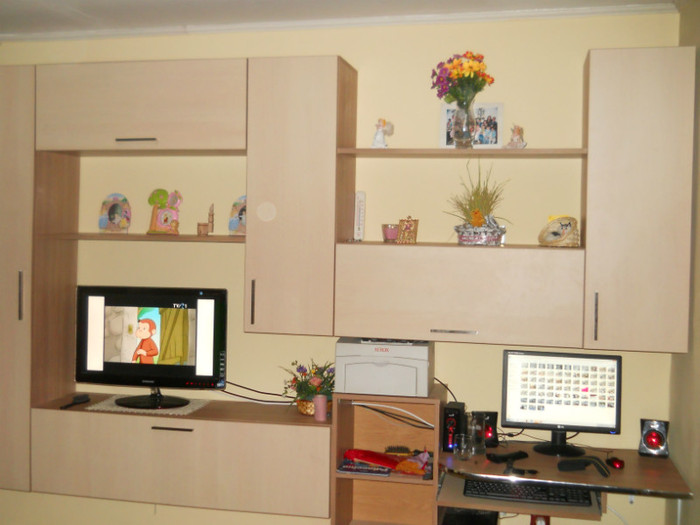 DSCN0112 - amenajari interioare