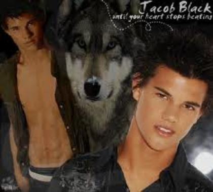 7 - Jacob Black - Taylor Lautner