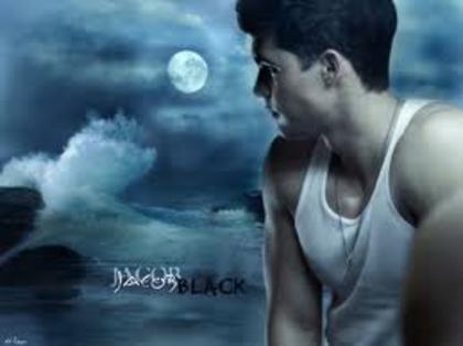 8 - Jacob Black - Taylor Lautner