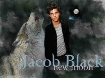 12 - Jacob Black - Taylor Lautner