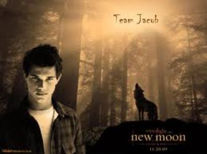 15 - Jacob Black - Taylor Lautner