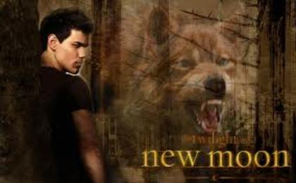 19 - Jacob Black - Taylor Lautner