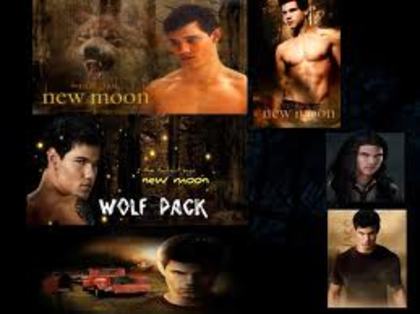 23 - Jacob Black - Taylor Lautner