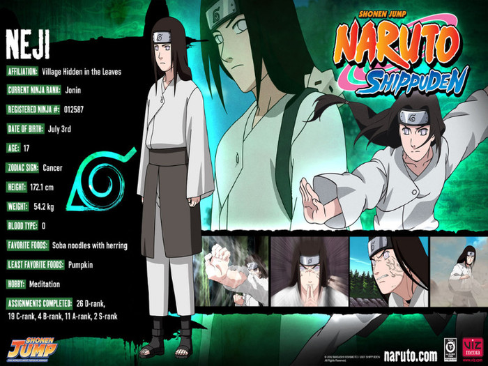  - Neji Hyuga