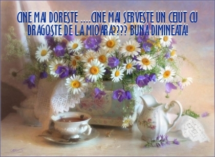 5d1b6bb5522ca91296c03c50851bcff6