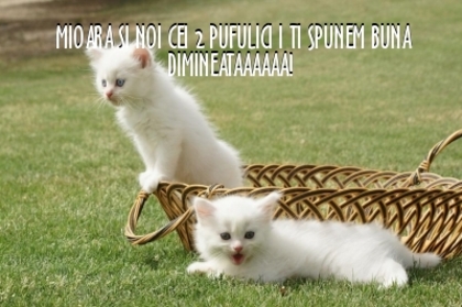 aab045251d1e352d44987dc0c4de8bcb