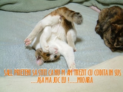 32bb26f3209d723ae108191456a59580