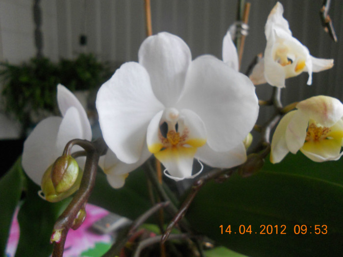 DSCN0449