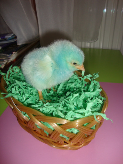  - un puisor mai special