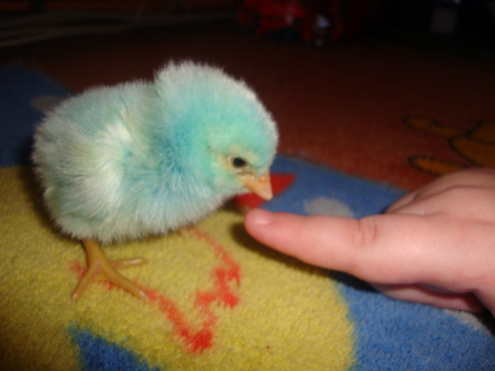  - un puisor mai special