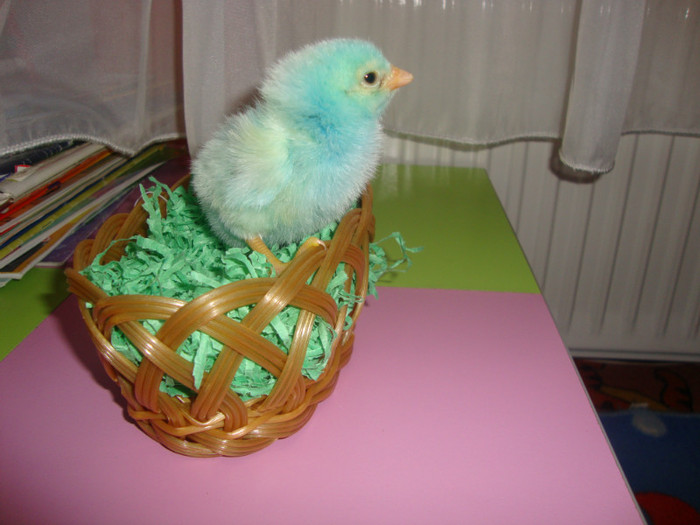  - un puisor mai special