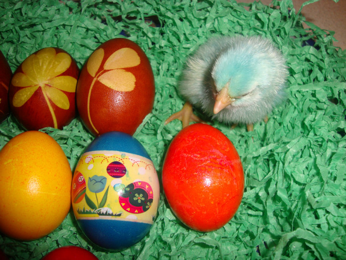  - un puisor mai special