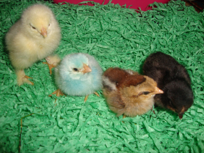  - un puisor mai special