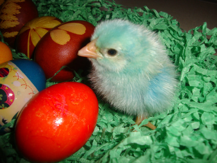  - un puisor mai special