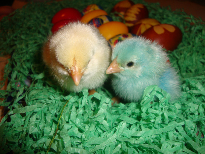  - un puisor mai special