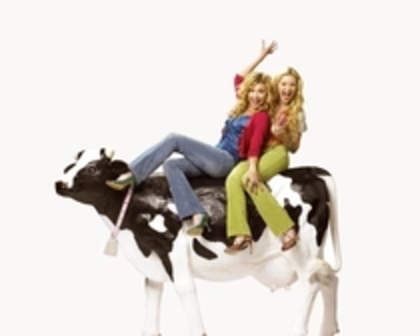 cow belles - aaa-poze cow belles-aaa