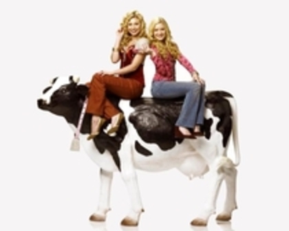 cow belles - aaa-poze cow belles-aaa