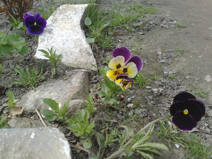 15042012