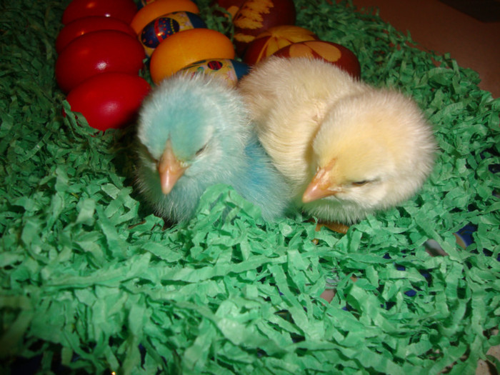  - un puisor mai special