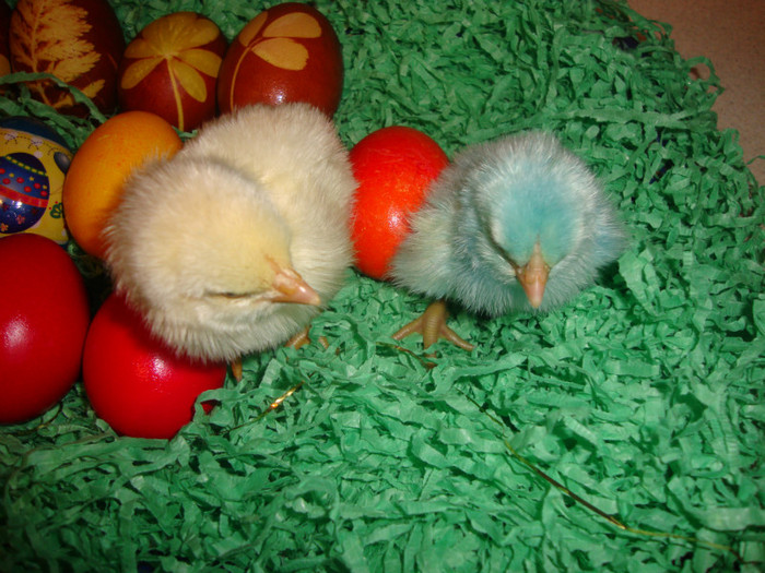  - un puisor mai special