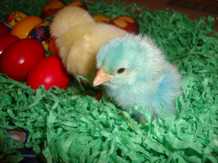  - un puisor mai special