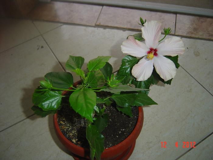 poze 333