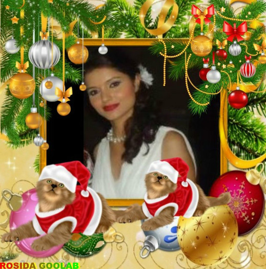 gh82 - RUBINA DILAIK NEW