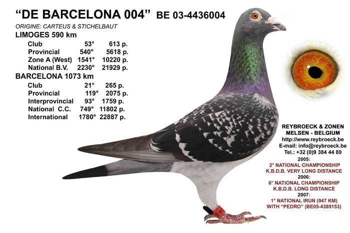 DE BARCELONA 004 - BE 03 4436004 - Achizitii 2008 - 2012