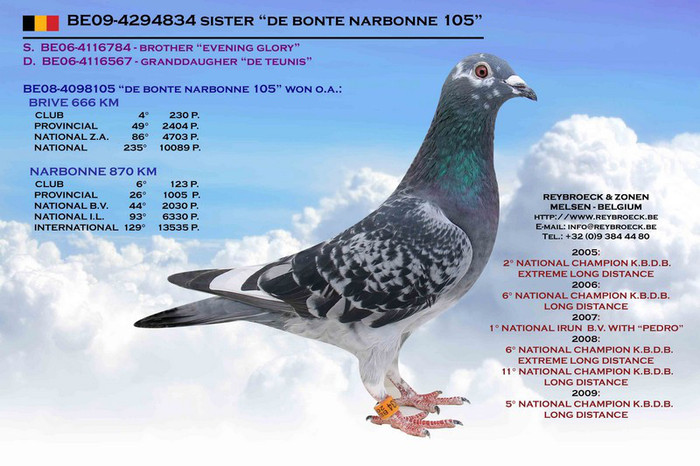 BE 09 4294834 SISTER \'\' DE BONTE NARBONNE 105 \'\' - Achizitii 2008 - 2012