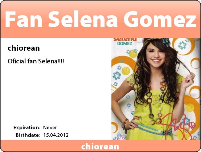 8 - carduri-selena-gomez