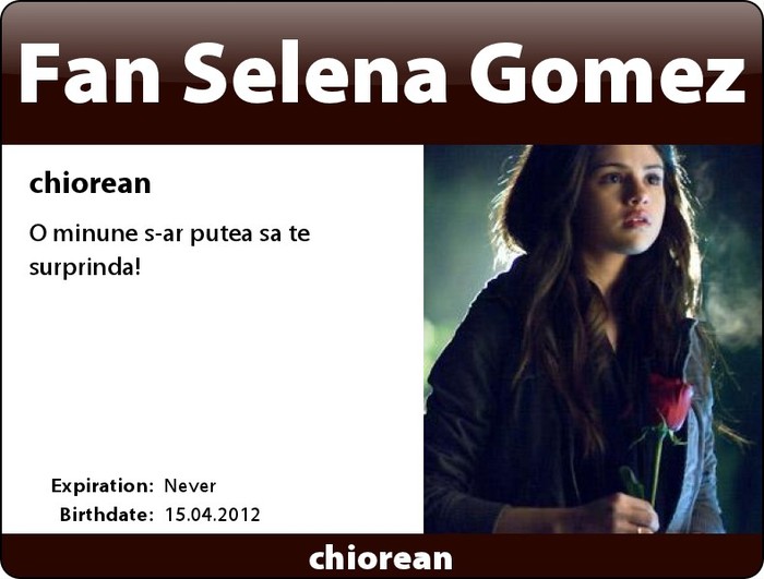 12 - carduri-selena-gomez