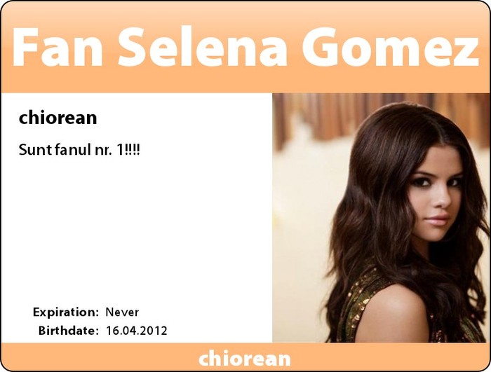 14 - carduri-selena-gomez