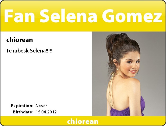 16 - carduri-selena-gomez