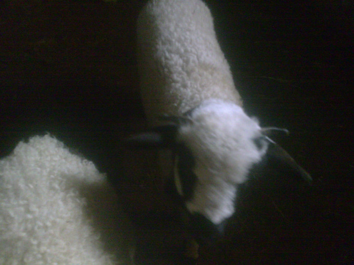 r@LuTzIc@027 - oile mele2012