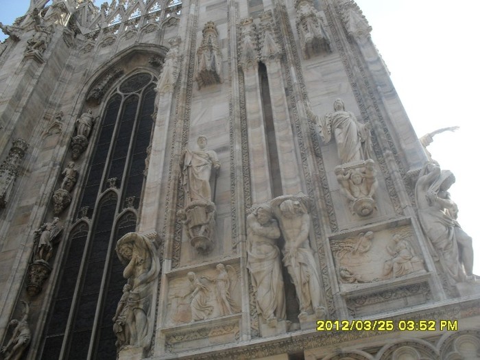 SDC17537