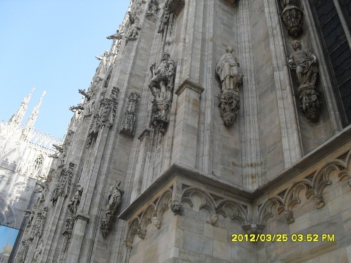 SDC17539