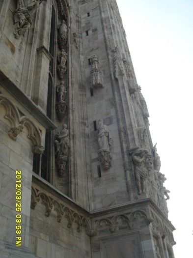 SDC17545