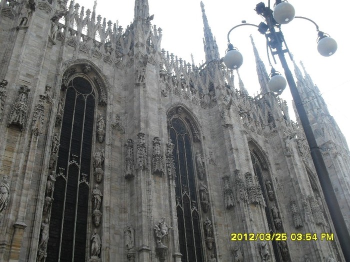 SDC17553