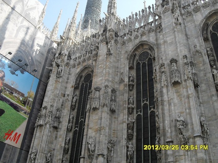 SDC17554