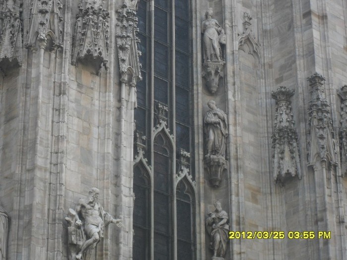 SDC17559