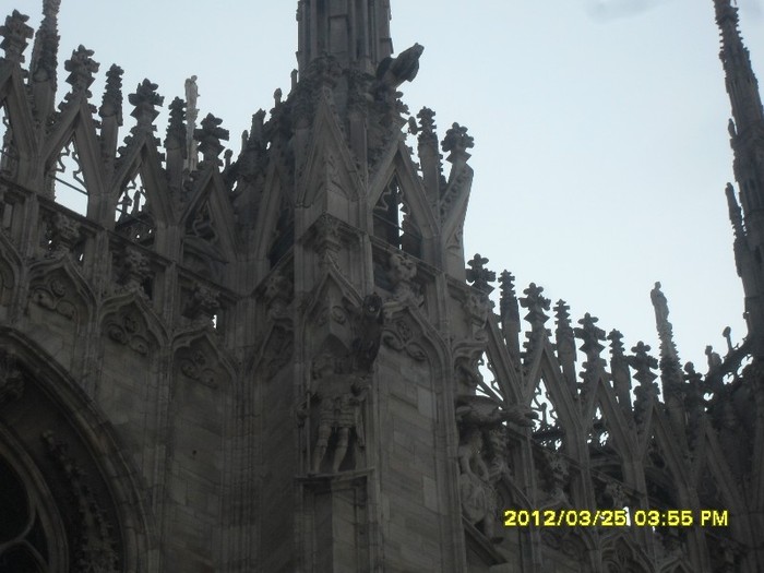 SDC17560