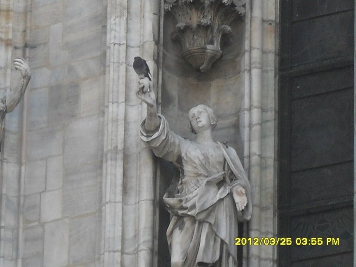 SDC17562